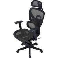 Professional Mesh Office Chair Collection Standard Regular Premium Models