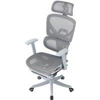 Professional Mesh Office Chair Collection Standard Regular Premium Models