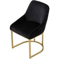 Velvet Dining Chair Gold Leg Pair Seating