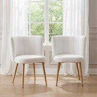 Modern Teddy Upholstered Dining Chair Set