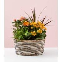 Autumn Flowering Basket