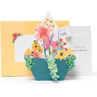 Boxed 3D Pop-up Planter Design Birthday Card