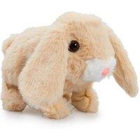 Floppy Ear Bunny Toy (3+ Yrs)
