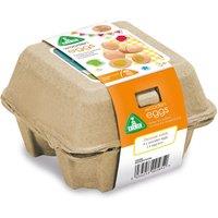 Wooden Eggs Set (3+ Yrs)