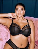 Matilda Mesh Embroidery Wired Plunge Bra DD-K