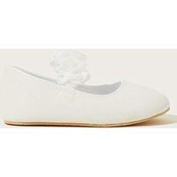 Baby Floral Ballerina Party Shoes (2 Large-6 Large)