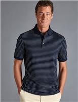 Cotton Rich Striped Pique Polo Shirt