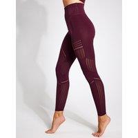 Full Circle Seamless Leggings