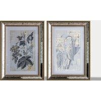 Set of 2 Braun Botanical Rectangle Framed Art
