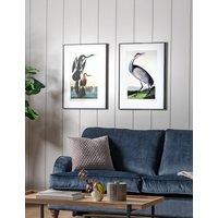 Set of 2 Exotic Fowl Study Rectangle Framed Art