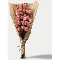 Dried Thistle Bouquet