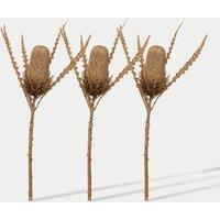Set of 3 Artificial Banksia Single Stems