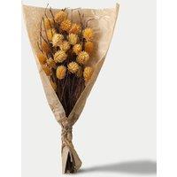 Dried Thistle Bouquet