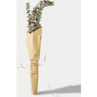 Dried Eucalyptus Bouquet