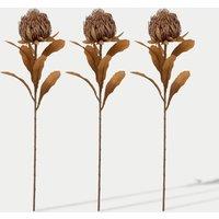 Set of 3 Artificial Dried Protea Single Stems