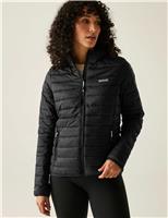 Regatta Marizion Water-Repellent Padded Jacket Black