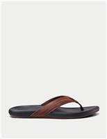 REEF Cushion Phantom 2.0 Leather Flip Flops Brown