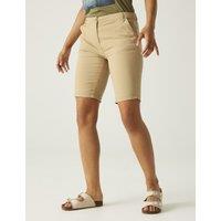 Bayletta Cotton Rich Chino Shorts