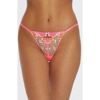 Marisol Thong