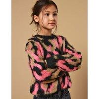 Animal Jumper (7-14 Yrs)