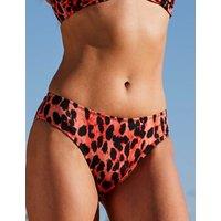 Animal Print Hipster Bikini Bottoms