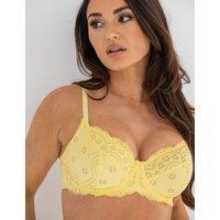 Swoon Wired Full Cup Bra (D-HH)