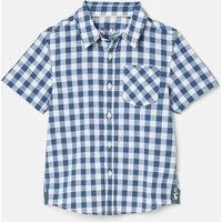 Pure Cotton Checked Shirt (2-12 Yrs)