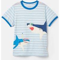 Pure Cotton Striped Shark Print T-Shirt (2-12 Yrs)