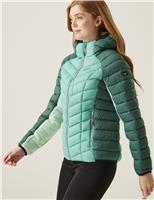 Regatta Dalent Water Repellent Hooded Padded Coat Green Mix