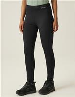 Holeen II Winter Leggings