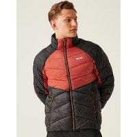 Dalent Padded Puffer Jacket