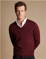 Charles Tyrwhitt Pure Wool V-Neck Jumper Burgundy