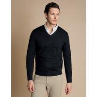 Pure Wool V-Neck Jumper