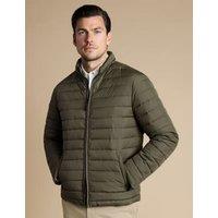 Quilted Padded Lightweight Puffer Jacket