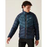 Dalent Lightweight Padded Jacket