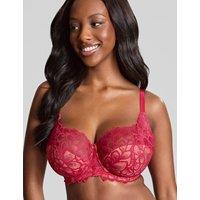 Allure Lace Wired Full Cup Bra (D-HH)