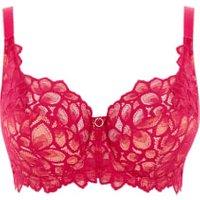 Allure Lace Padded Wired Full Cup Bra (D-HH)