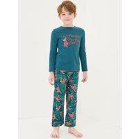 Pure Cotton Christmas Orangutan Pyjama Set (3-13 Yrs)