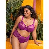 Matilda Mesh & Lace Wired Plunge Bra DD-K