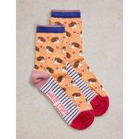 Cotton Rich Hedgehog Ankle High Socks