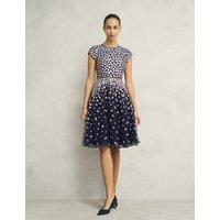 Mesh Floral Embroidered Knee Length Skater Dress