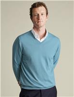 Charles Tyrwhitt Pure Merino Wool V-Neck Jumper Green
