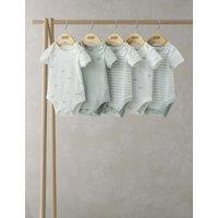 Mamas & Papas 5 Pack Pure Cotton Whale & Striped Bodysuits (0-24 Mths) Blue