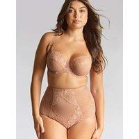 Panache Envy Mesh & Lace Full Briefs Honey