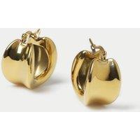 Stainless Steel Chubby Hoop Earrings
