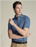 Pure Cotton Striped Polo Shirt