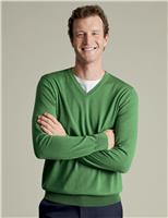 Pure Wool V-Neck Jumper