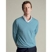 Charles Tyrwhitt Pure Wool V-Neck Jumper Green