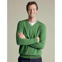 Pure Wool V-Neck Jumper