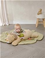 Born To Be Wild Tummy Time Lion Toy (0+ Mths)